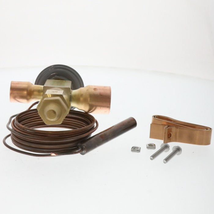 025 27536 000 York Valve Apex Controls